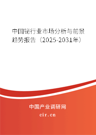 中國鉍行業(yè)市場分析與前景趨勢報告（2025-2031年）