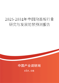 2025-2031年中國溝蓋板行業(yè)研究與發(fā)展前景預測報告