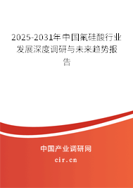 2025-2031年中國(guó)氟硅酸行業(yè)發(fā)展深度調(diào)研與未來趨勢(shì)報(bào)告