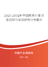 2025-2031年中國(guó)煉焦行業(yè)深度調(diào)研與發(fā)展趨勢(shì)分析報(bào)告