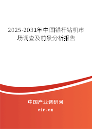 2025-2031年中國錨桿鉆機市場調(diào)查及前景分析報告