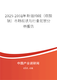 2025-2031年新疆純堿（碳酸鈉）市場現(xiàn)狀與行業(yè)前景分析報(bào)告