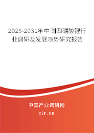 2025-2031年中國四硼酸鋰行業(yè)調(diào)研及發(fā)展趨勢研究報告