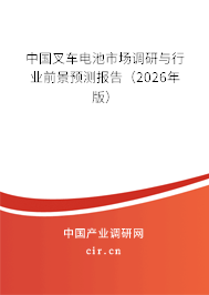 中國叉車電池市場調(diào)研與行業(yè)前景預(yù)測報告（2026年版）