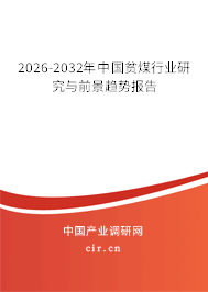 2026-2032年中國(guó)貧煤行業(yè)研究與前景趨勢(shì)報(bào)告