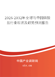2026-2032年全球與中國磷酸鹽行業(yè)現(xiàn)狀及趨勢預(yù)測報(bào)告