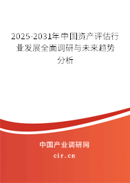 2025-2031年中國資產(chǎn)評估行業(yè)發(fā)展全面調(diào)研與未來趨勢分析