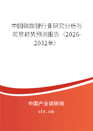 中國磷酸鋰行業(yè)研究分析與前景趨勢預(yù)測報告（2026-2032年）