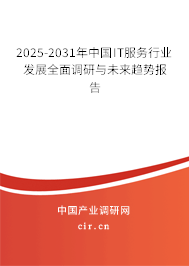 2025-2031年中國(guó)IT服務(wù)行業(yè)發(fā)展全面調(diào)研與未來(lái)趨勢(shì)報(bào)告