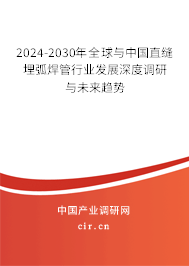 2024-2030年全球與中國直縫埋弧焊管行業(yè)發(fā)展深度調(diào)研與未來趨勢