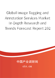 Global Image Tagging and Annotation Services Market In-Depth Research and Trends Forecast Report 2020-2026