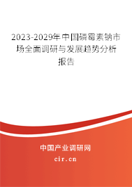 2023-2029年中國磷霉素鈉市場全面調(diào)研與發(fā)展趨勢分析報告
