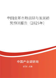 中國皮革市場調(diào)研與發(fā)展趨勢預(yù)測報告（2025年）