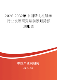 2026-2032年中國轉(zhuǎn)向柱軸承行業(yè)發(fā)展研究與前景趨勢預(yù)測報告