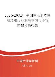 2025-2031年中國原電池及原電池組行業(yè)發(fā)展調研與市場前景分析報告