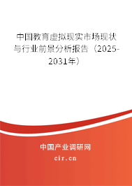 中國(guó)教育虛擬現(xiàn)實(shí)市場(chǎng)現(xiàn)狀與行業(yè)前景分析報(bào)告（2025-2031年）