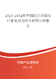 2025-2031年中國扭力測量儀行業(yè)發(fā)展調(diào)研與趨勢分析報告
