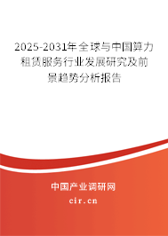 2025-2031年全球與中國算力租賃服務(wù)行業(yè)發(fā)展研究及前景趨勢分析報告