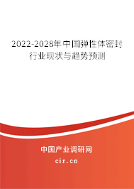 2022-2028年中國彈性體密封行業(yè)現(xiàn)狀與趨勢預(yù)測