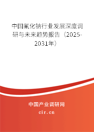 中國氟化鈉行業(yè)發(fā)展深度調研與未來趨勢報告（2025-2031年）