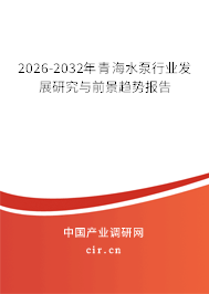 2026-2032年青海水泵行業(yè)發(fā)展研究與前景趨勢報告