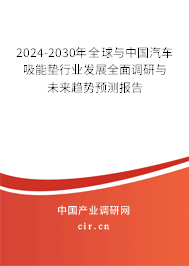 2024-2030年全球與中國汽車吸能墊行業(yè)發(fā)展全面調研與未來趨勢預測報告