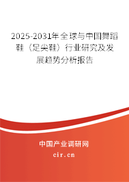 2025-2031年全球與中國(guó)舞蹈鞋（足尖鞋）行業(yè)研究及發(fā)展趨勢(shì)分析報(bào)告