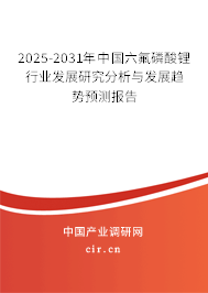 2025-2031年中國六氟磷酸鋰行業(yè)發(fā)展研究分析與發(fā)展趨勢預測報告