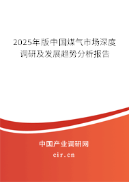 2025年版中國(guó)煤氣市場(chǎng)深度調(diào)研及發(fā)展趨勢(shì)分析報(bào)告