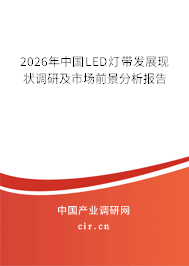 2025年中國(guó)LED燈帶發(fā)展現(xiàn)狀調(diào)研及市場(chǎng)前景分析報(bào)告