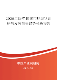 2026年版中國錫市場現(xiàn)狀調(diào)研與發(fā)展前景趨勢分析報告