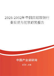 2026-2032年中國(guó)高錳酸鈉行業(yè)現(xiàn)狀與前景趨勢(shì)報(bào)告