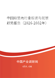 中國軟墊片行業(yè)現(xiàn)狀與前景趨勢報告（2026-2032年）