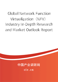 Global Network Function Virtualization（NFV） Industry In-Depth Research and Market Outlook Report 2020-2026