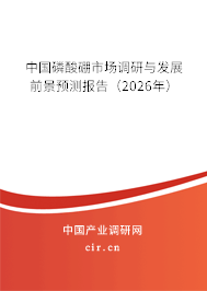 中國磷酸硼市場調(diào)研與發(fā)展前景預(yù)測報告（2026年）