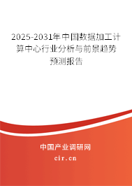 2025-2031年中國數(shù)據(jù)加工計(jì)算中心行業(yè)分析與前景趨勢預(yù)測報(bào)告