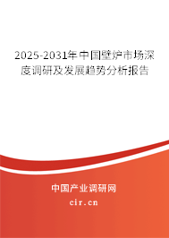 2025-2031年中國(guó)壁爐市場(chǎng)深度調(diào)研及發(fā)展趨勢(shì)分析報(bào)告