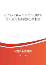 2025-2031年中國汽車EDR市場研究與發(fā)展趨勢分析報告