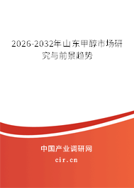 2026-2032年山東甲醇市場研究與前景趨勢