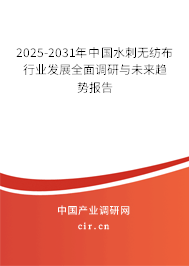 2025-2031年中國(guó)水刺無(wú)紡布行業(yè)發(fā)展全面調(diào)研與未來(lái)趨勢(shì)報(bào)告