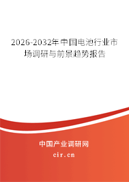 2026-2032年中國(guó)電池行業(yè)市場(chǎng)調(diào)研與前景趨勢(shì)報(bào)告