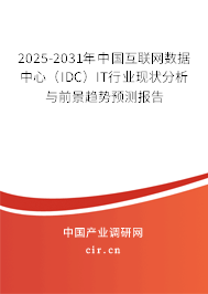 2025-2031年中國(guó)互聯(lián)網(wǎng)數(shù)據(jù)中心（IDC）IT行業(yè)現(xiàn)狀分析與前景趨勢(shì)預(yù)測(cè)報(bào)告