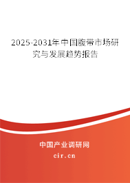 2025-2031年中國腹帶市場研究與發(fā)展趨勢報告
