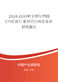 2024-2030年全球與中國(guó)CPVC管行業(yè)研究分析及發(fā)展趨勢(shì)報(bào)告