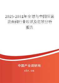 2025-2031年全球與中國恒溫混合閥行業(yè)現(xiàn)狀及前景分析報告