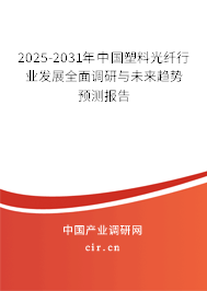 2025-2031年中國塑料光纖行業(yè)發(fā)展全面調研與未來趨勢預測報告