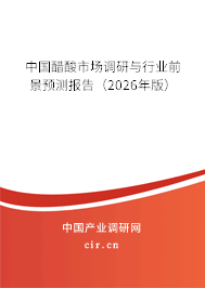 中國醋酸市場調(diào)研與行業(yè)前景預(yù)測報告（2026年版）