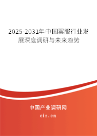 2025-2031年中國翼服行業(yè)發(fā)展深度調(diào)研與未來趨勢
