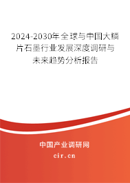 2024-2030年全球與中國(guó)大鱗片石墨行業(yè)發(fā)展深度調(diào)研與未來(lái)趨勢(shì)分析報(bào)告
