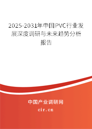 2025-2031年中國PVC行業(yè)發(fā)展深度調(diào)研與未來趨勢分析報(bào)告